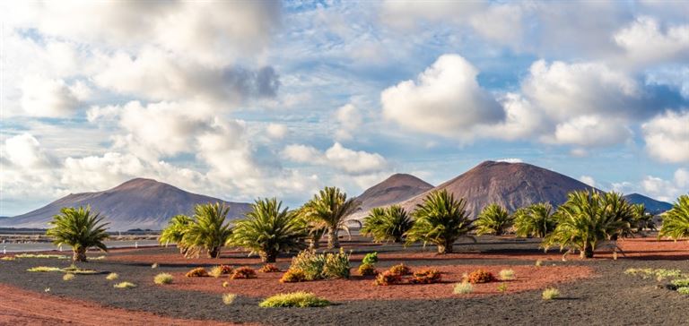 Wandern auf Lanzarote @Balate Dorin/istock